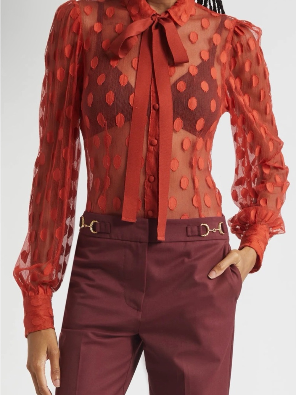 Sheer Dot Tie-Neck Long-Sleeve Top in Rust Red